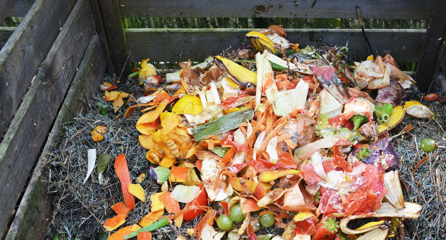 So sieht typischer Kompost aus