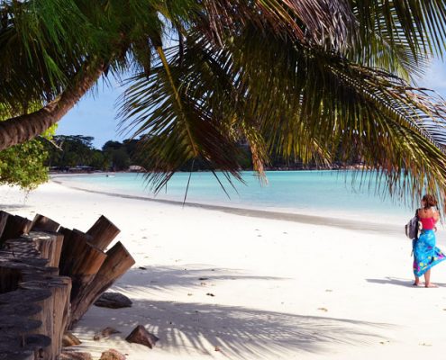 Seychellen Urlaub - Inseltraum im indischen Ozean entdecken