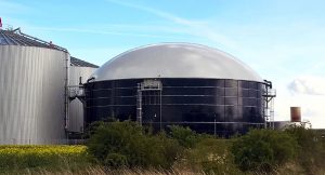 Was ist Biogas: Entstehung, Effizienz - ist es gar Alternative?