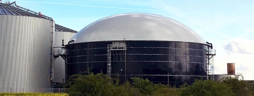 Was ist Biogas: Entstehung, Effizienz - ist es gar Alternative?
